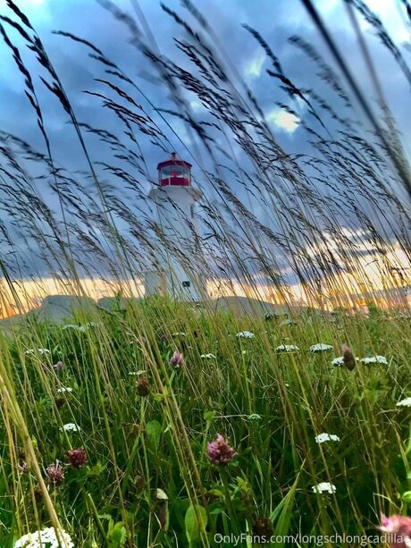 Cadillac modèle galerie