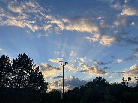 Adriana Lynn top star images