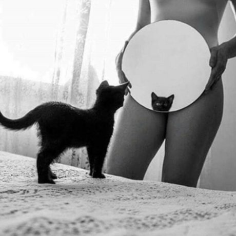 Lydia Peterson étoile hd galerie