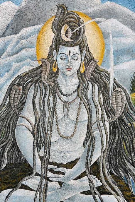 _King star du porno adulte collection