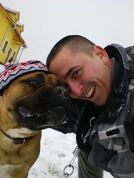 Doggydog jolie étoile galerie