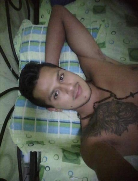 Milver cv meilleure étoile galeries