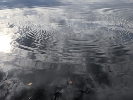 Moon Heart étoile gratuite photos