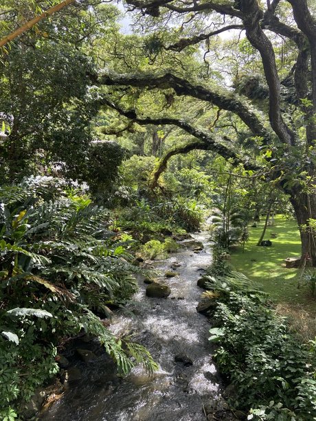 Kaelyn Michelle_ actrice parfaite galeries