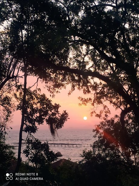 Natane Machado belle star du porno archive