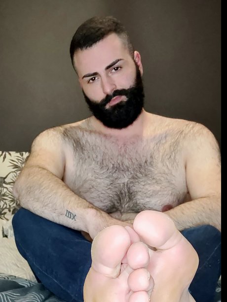 Metta l ours star du porno belle galerie