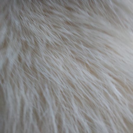 Yellow Heart actrice parfaite des photos