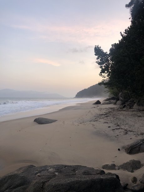 Mir mir modèle meilleur des photos