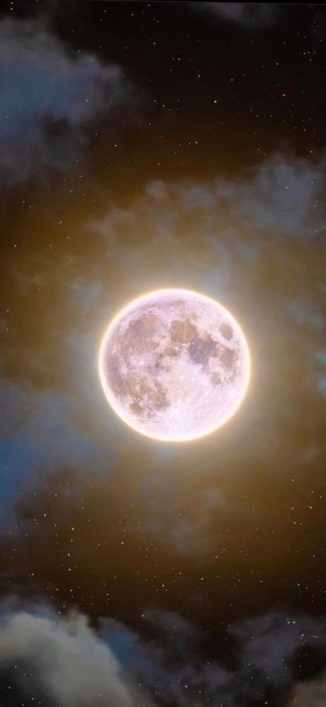 nastyia actrice libre img