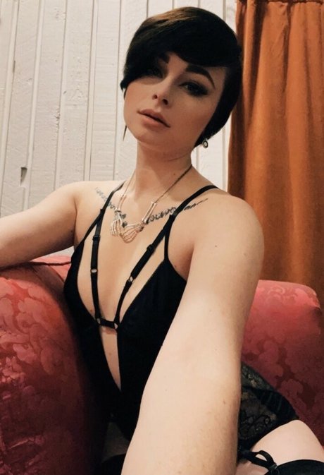 Harlihero haut modèle image