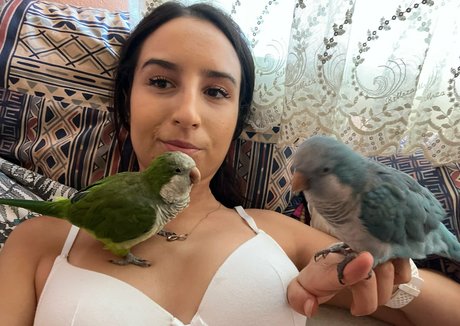 laylaaa944 art star du porno photo