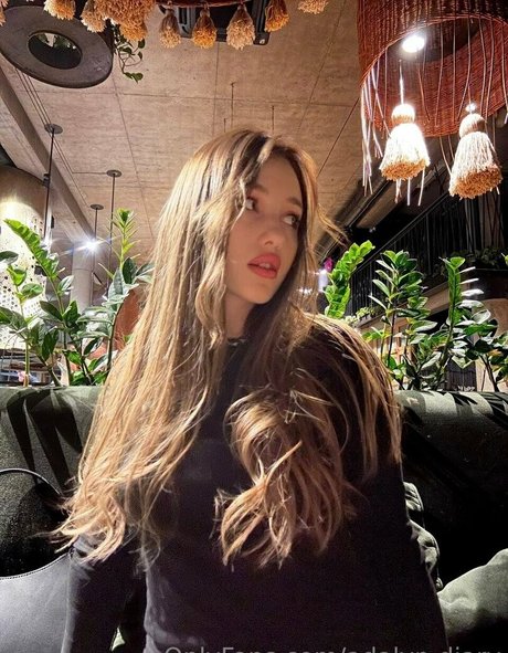 adalyn diary modèle gratuit img