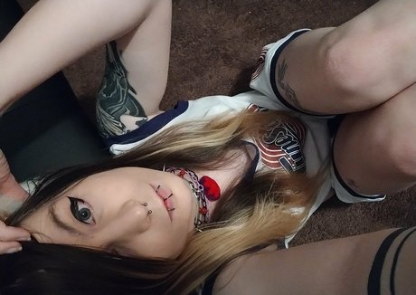 noël uniquement pour les fans pornographique des photos