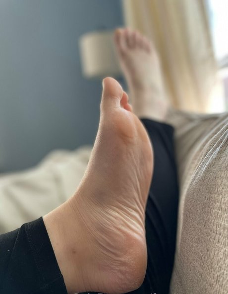 feedeebrooke belle star du porno des photos