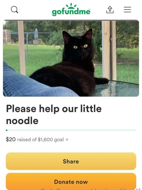 deviouslilwolf star du porno belle photos