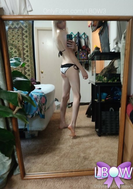 lbow3 art modèle collection