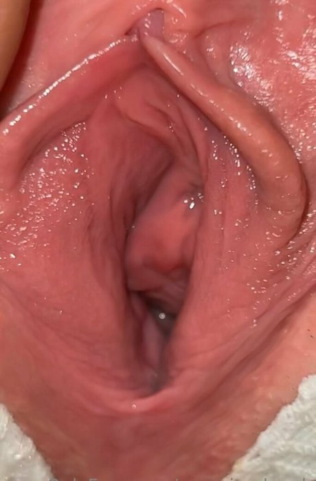 cosplay danime uniquement pour les fans belle érotique collection