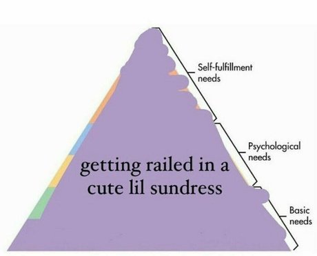 paris stilton actrice porno galeries