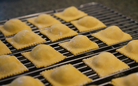 gutfuzz modèle artistique archive