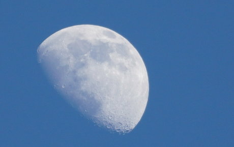 gutfuzz haut étoile photos