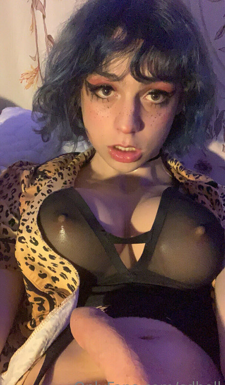 cdbell haut modèle images