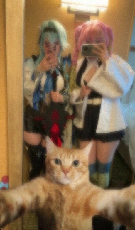 Realfrogg modèle porno image