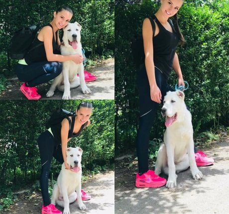 Mass Massage star du sexe photos