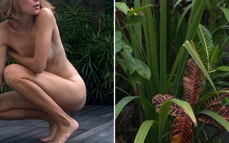 ivi ivinskaya étoile de haute qualité galeries