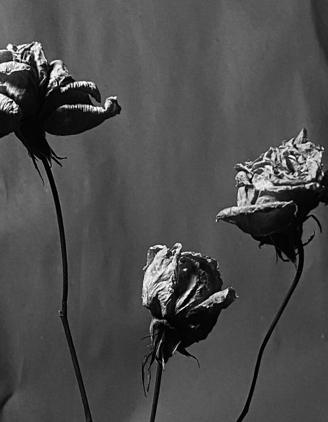 ivi ivinskaya star du porno parfaite des photos