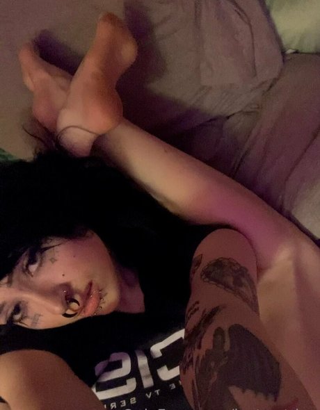 Lostwetdog modèle hd image