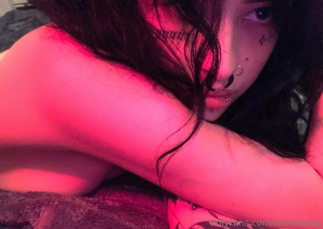 Lostwetdog étoile hd des photos