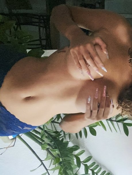 clitauro meilleure étoile des photos