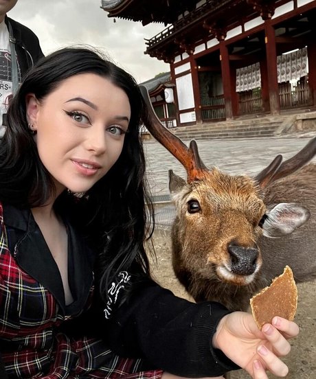 LivBev joli modèle image