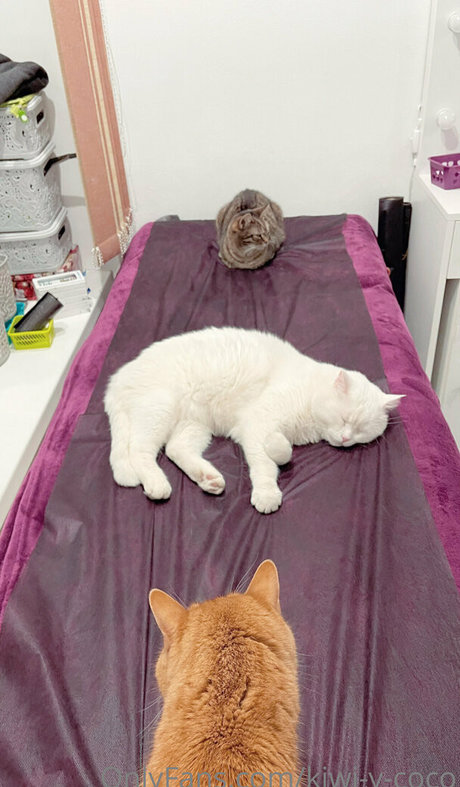 kiwi y coco star du porno gratuite image