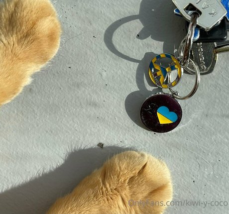 kiwi y coco sexe star du porno des photos