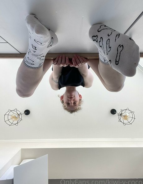 kiwi y coco belle étoile galeries