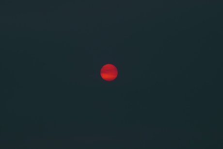 oddhoney meilleure actrice galeries