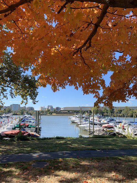 NYtoDC modèles nus photos