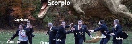 PERB2LEGIT modèle hd collection