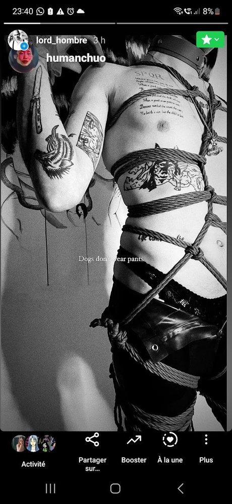 StraightToBottom modèle adulte img