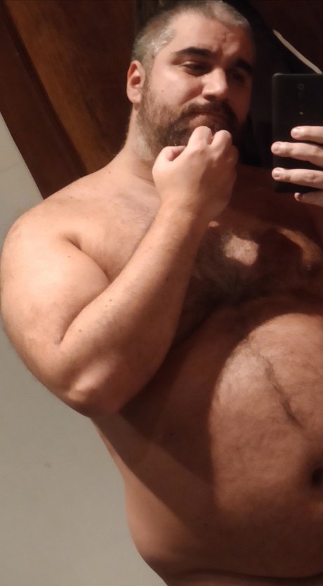 Osoargento joli modèle img