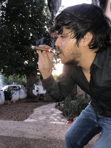 Or Alkalay jolie star du porno img