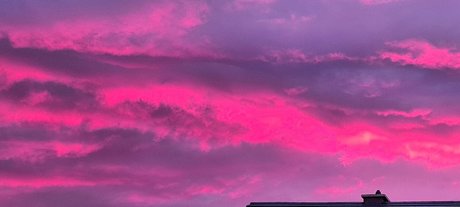 OpenMindedBoy étoile gratuite galerie