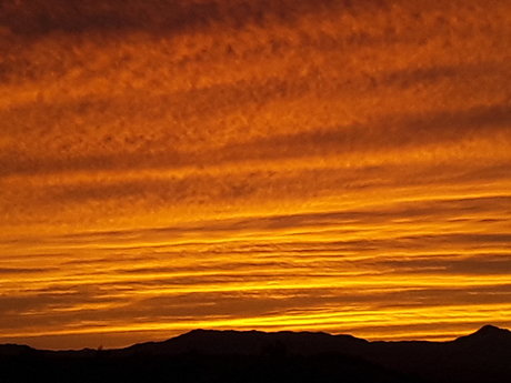 Onlycameltoes étoile de haute qualité image