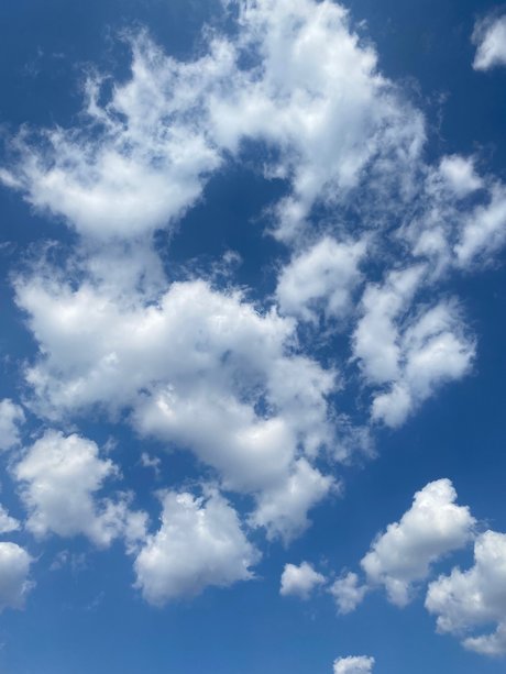 pretty richard star exclusive photo