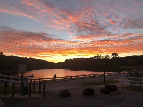 sneaky link_ modèle hd des photos