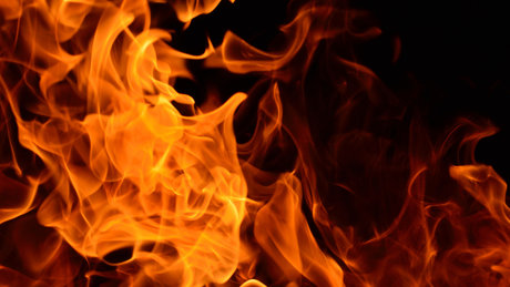 chatte chauve onlyfans plutôt parfait photo