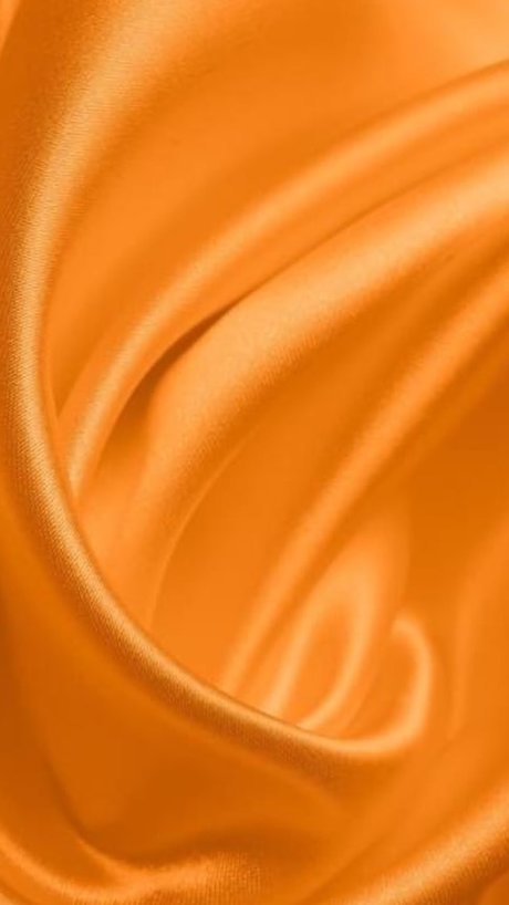 Racquel Brazil étoile exclusive galeries