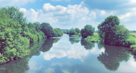 Queen ports_ art modèle image