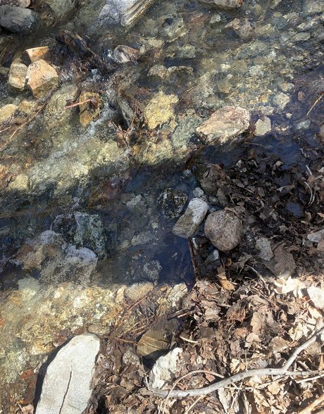 Queen of Curves actrice parfaite photo